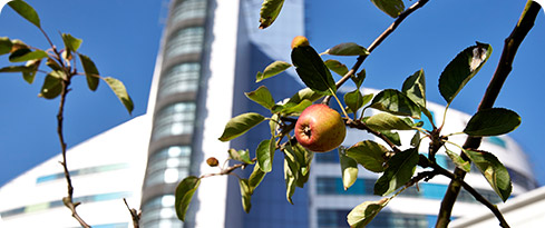 QEHB Community Orchard’s and Gardens